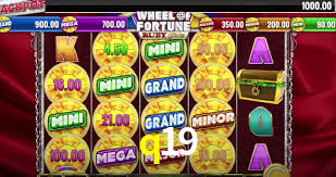 q19 bet